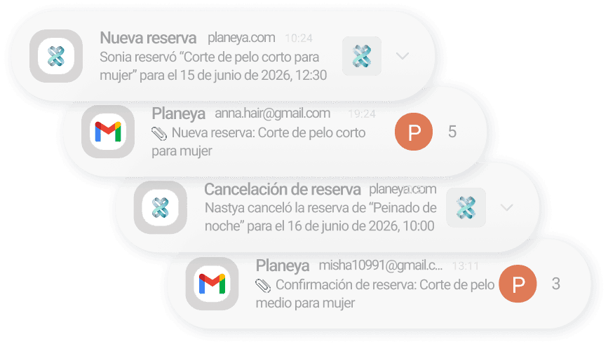Vista previa de acceso