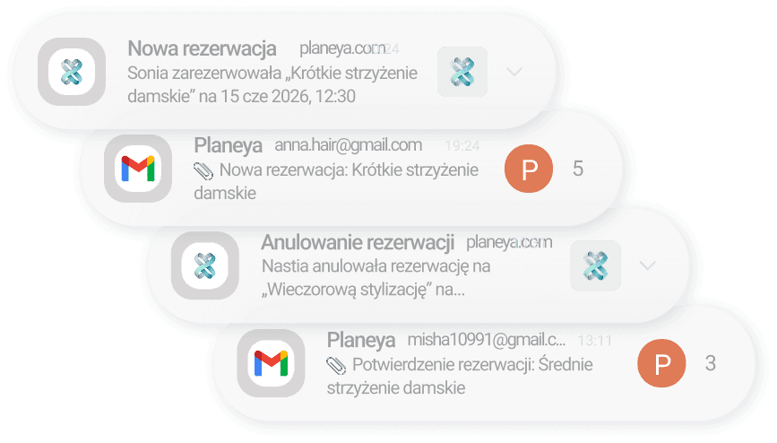 Podgląd dostępu